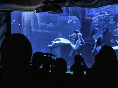Pengunjung menyaksikan pertunjukan bawah air yang menampilkan putri duyung di Jakarta Aquarium & Safari (JAQS), Neo Soho Mall, Jakarta, Rabu (21/4/2021). JAQS menjadi salah satu lokasi alternatif warga dalam mengisi waktu jelang berbuka puasa atau ngabuburit. (merdeka.com/Iqbal S. Nugroho)