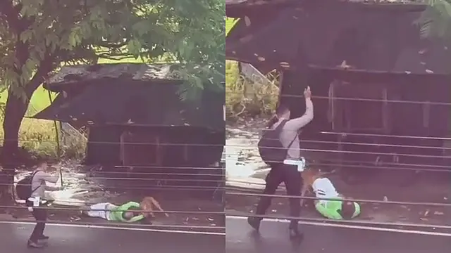 Aksi Heroik Polisi di Lampung Duel Lawan Pit Bull Besar