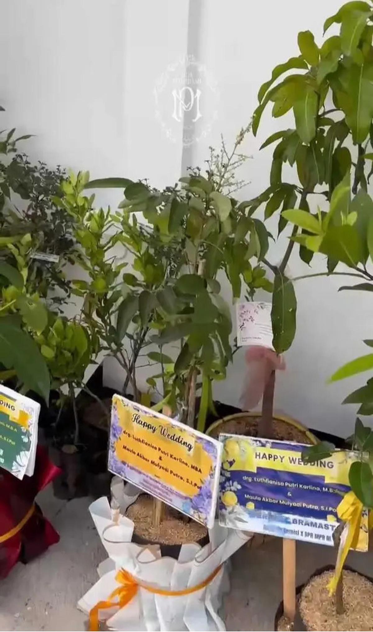 Kado Unik di Pernikahan Putri Karlina Menantu Dedi Mulyadi, Bukan Karangan Bunga