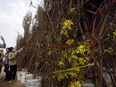 Berita Kamboja Hari Ini Kabar Terbaru Terkini Liputan6 Com