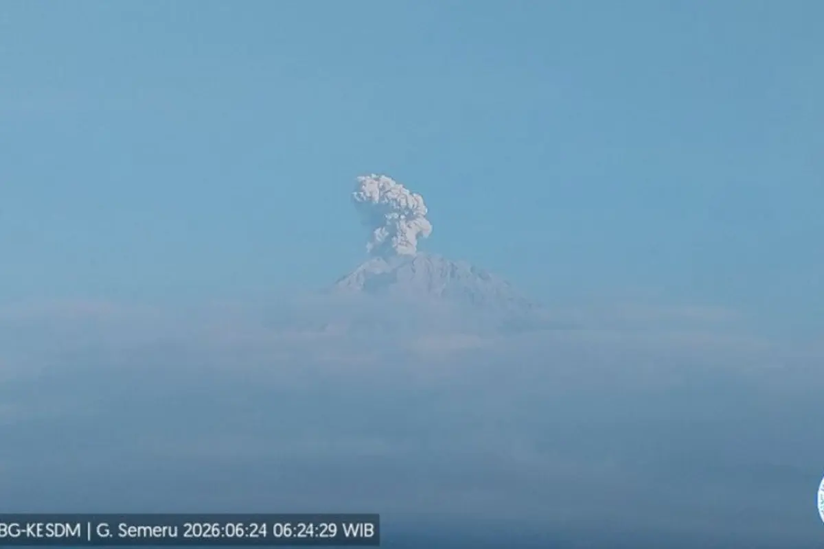 Gunung Semeru erupsi tinggi letusan 600 meter di atas puncak pada Rabu pagi (24/6/2026).