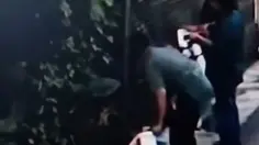 CCTV Rekam Aksi Pengamen Bakar Pagar Rumah Warga di Bekasi