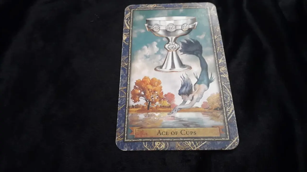 Tarot hari ini