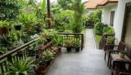 6 Cara Menjaga Area Kebun dan Teras Tetap Bersih Meski Banyak Tanaman