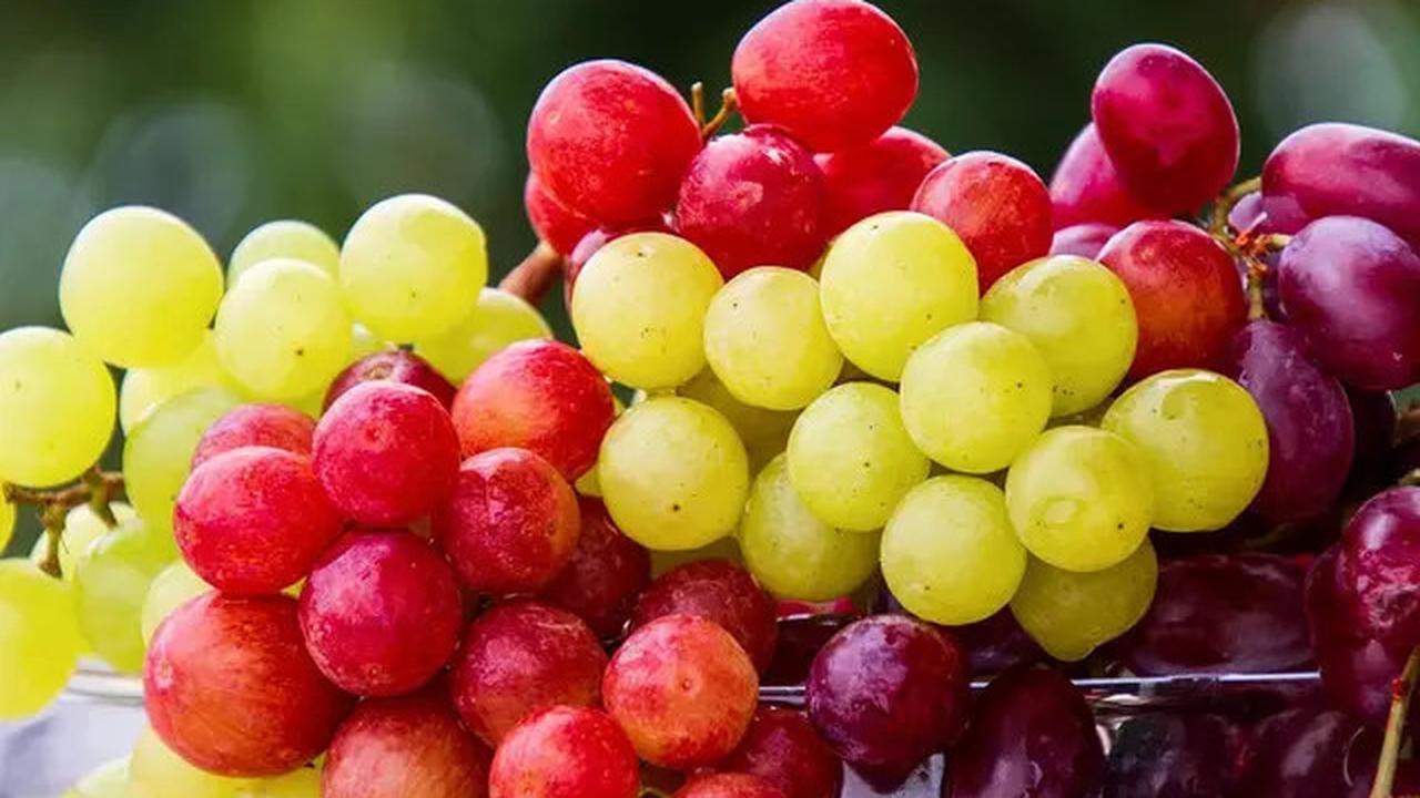 Apa Itu Anggur Muscat? Punya Rasa Manis dan Kaya Manfaat