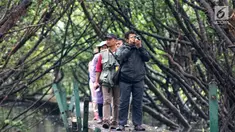 Komunitas pemerhati burung melakukan kegiatan Asian Waterbird Census 2019 di Hutan Lindung Angke Kapuk Jakarta, Sabtu (19/1). Kegiatan ini bertujuan memperkenalkan kekayaan keanekaragaman hayati Indonesia kepada generasi muda. (Liputan6.com/Fery Pradolo)