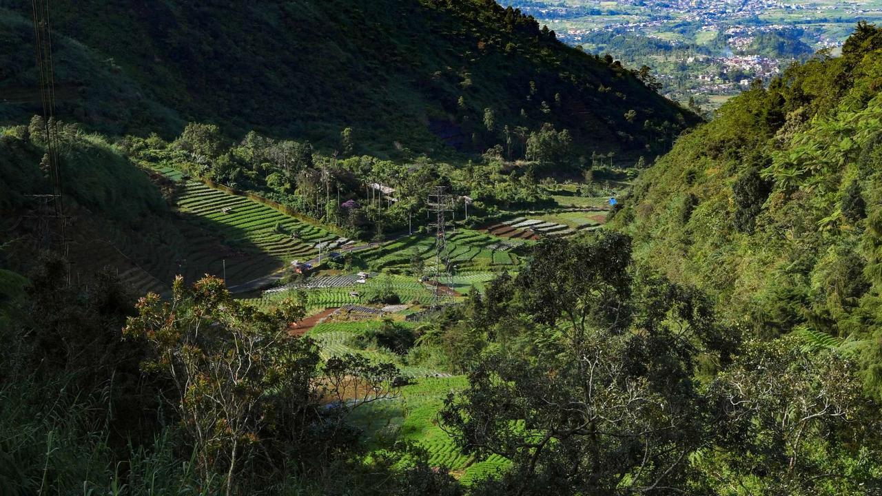 Indahnya Desa Wisata Sembungan yang dijuluku Swiss van Java