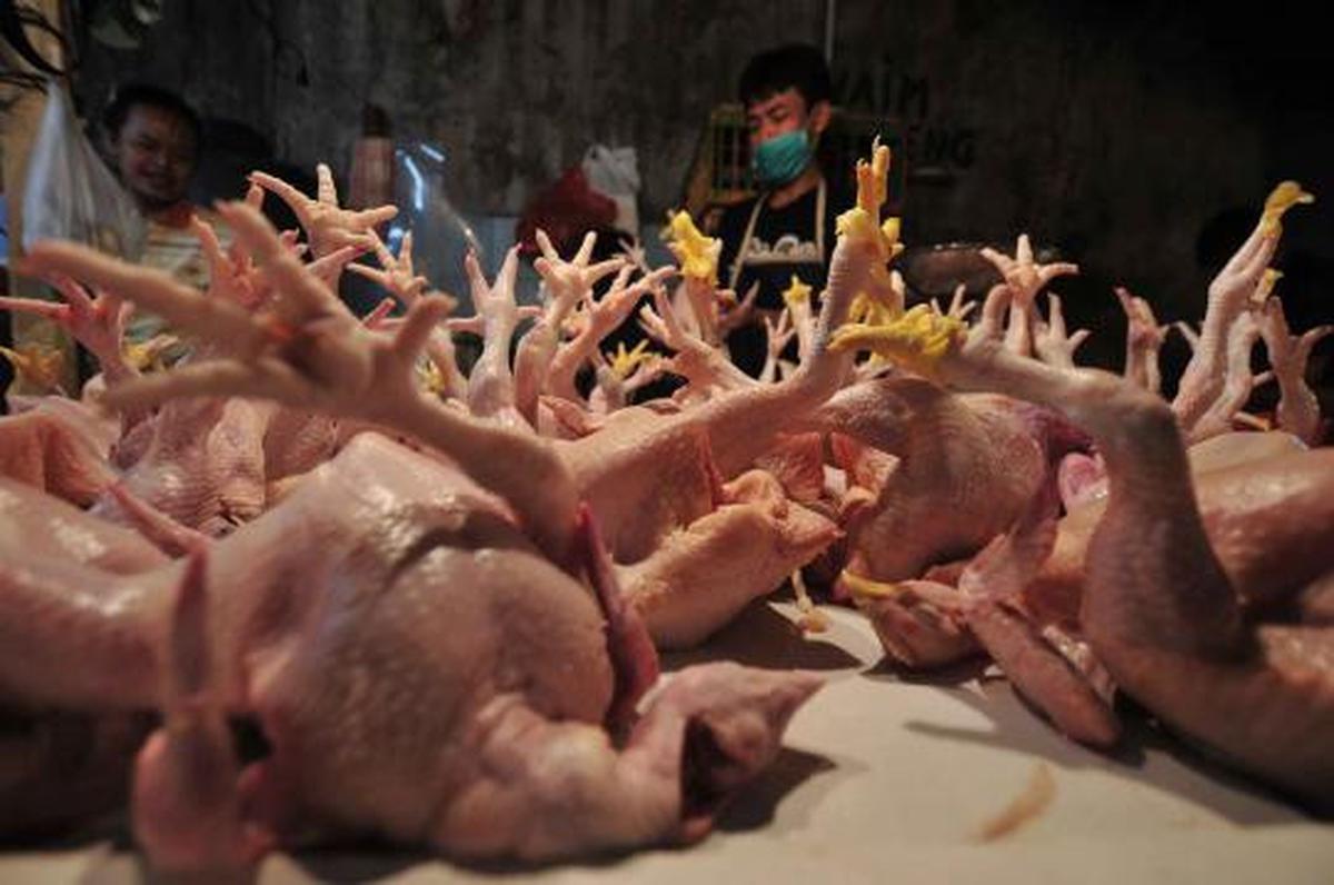 Jelang lebaran, harga daging sapi dan ayam terus meroket