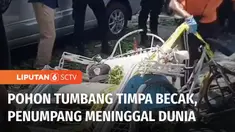 Sebuah pohon besar di Probolinggo tiba-tiba tumbang dan menimpa becak yang melintas. Pengayuh becak terluka, sedangkan penumpangnya meninggal dunia setelah mendapat perawatan di rumah sakit.