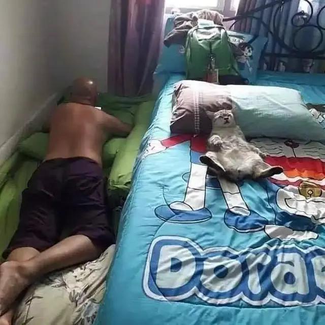 6 Momen Apes Tidur Diganggu Hewan Bikin Elus Dada