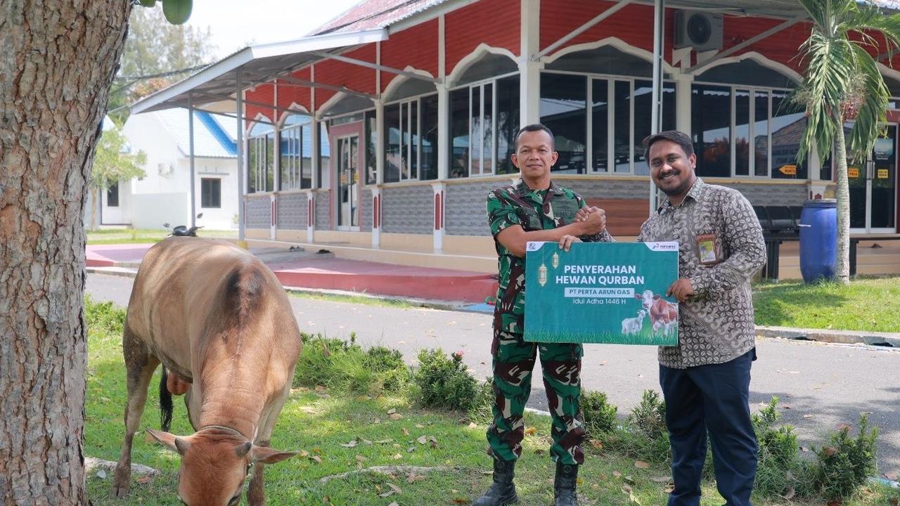 Pertamina salurkan hewan kurban