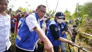 Menteri LH Singgung Kebakaran Lahan Konsesi Kosong, Ada Dugaan Kesengajaan