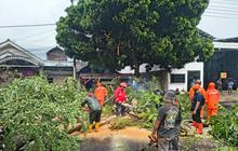 Evakuasi Pohon Tumbang Tulungagung-Kediri: Akses Jalan Nasional Sempat Lumpuh Total