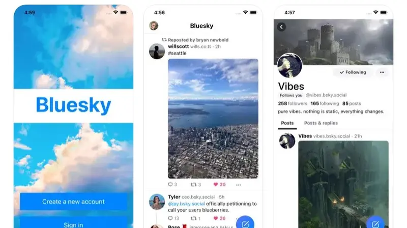 Aplikasi Bluesky (App Store)