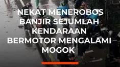 Sejumlah kendaraan bermotor mengalami mogok akibat nekat menerobos banjir. Hal itu terpantau di kawasan Gunung Sahari Jakarta Pusat. Kondisi banjir di kawasan diduga terjadi akibat buruknya drainase dan curah hujan yang tinggi.