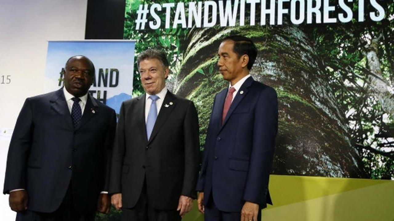 Gaya Jokowi saat pidato di pembukaan KTT Perubahan Iklim
