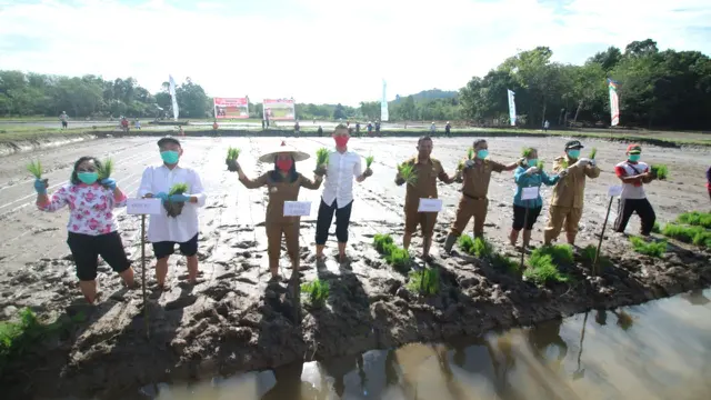 Kementan Dorong Petani Serap KUR