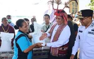 Buntut Keluhan Beras Mahal, Amran Turun Tangan Guyur Bantuan Pangan ke Alor