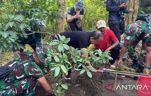 Trivia: 34 Ribu Hektare Hutan Hilang di Bali, Gubernur Koster Yakin Penanaman Pohon Bali Rutin Bisa Pulihkan Tutupan Hutan