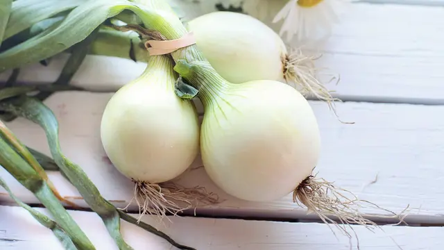 Bawang Putih dan Daun Jeruk