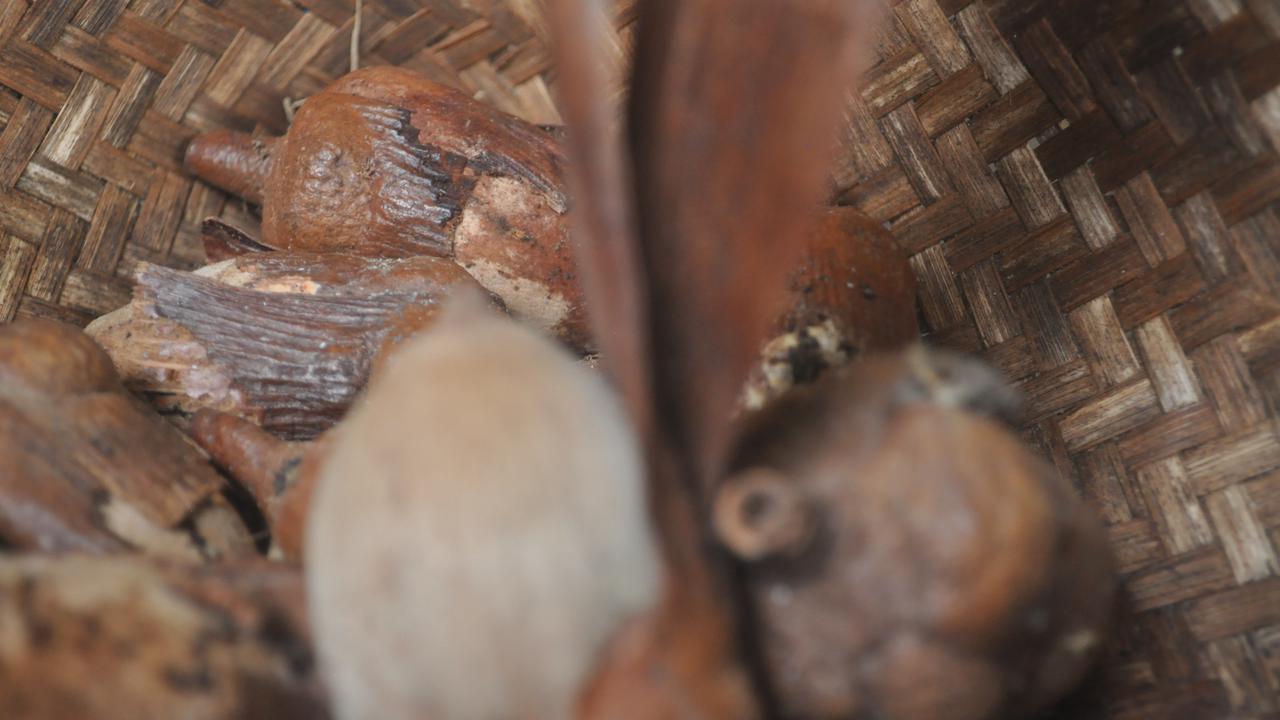 Buah Tengkawang. (Foto: Liputan6.com/Aceng Mukaram)