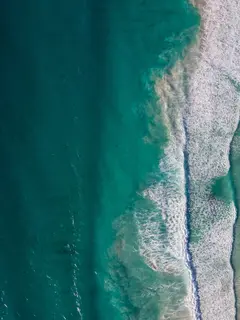 Hamparan laut biru jernih, garis pantai alami, dan lanskap dramatis menjadi pembuka perjalanan menuju hidden beaches yang belum banyak diketahui wisatawan. [Dok/Tourism Western Australia].