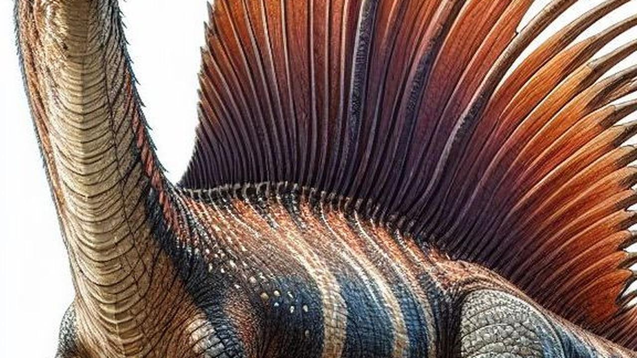 Pernyataan Para Ahli Paleontologi Mengenai Spinosaurus