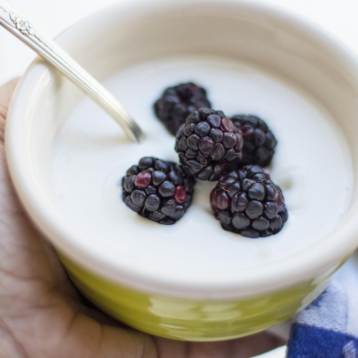 Yoghurt