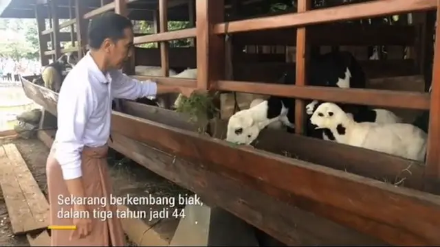 Jokowi