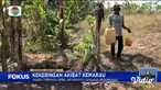 Fokus edisi (28/07) mengangkat beberapa topik pilihan di antaranya, Kebakaran Lahan dan Hutan Dekati Jalan Tol, Bantal Sandaran Kursi Kereta Whoosh Dicuri, Menikmati Musim Panas di Seoul, Korea Selatan,  Kapal Motor Tenggelam, Tiga Meninggal Dunia.