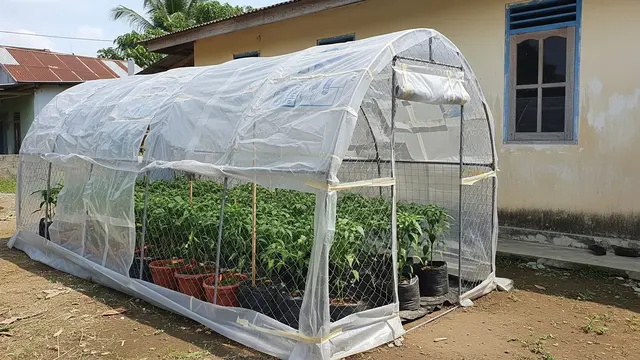 Rumah Kaca Mini dari Kawat Ram Bekas dan Plastik Penutup