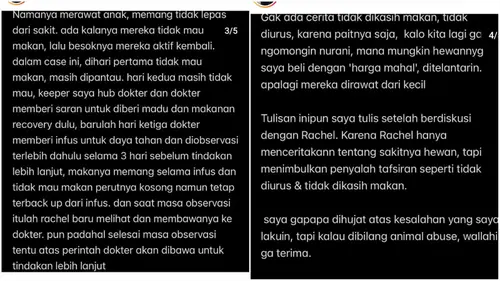 Klarifikasi Okin Usai Kucingnya Meninggal, Tak Terima Dituding  Menelantarkan Nala: Wallahi... - ShowBiz Liputan6.com