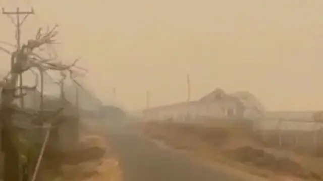 Kebakaran Hutan Papua, Kabut Asap Selimuti Mimika