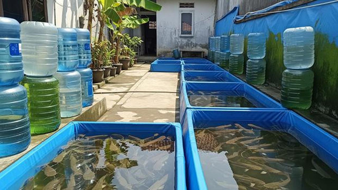 Indonesia Bakal Kirim 700 Ton Ikan Patin Buat Konsumsi Jemaah Haji
