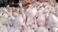 Ilustrasi daging ayam di pasar tradisional Jember (Istimewa)