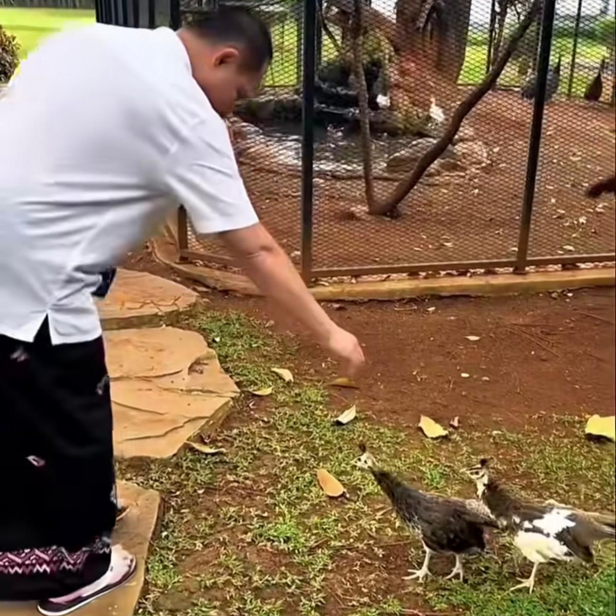 Panglima TNI Jenderal Agus Subianto Bermain dengan Hewan Peliharaan