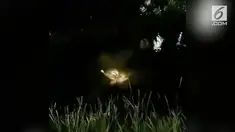 Rekaman seekor buaya memakan warga di mulutnya.