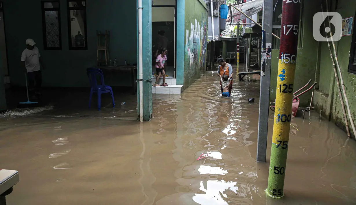 Hujan lebat yang mengguyur kawasan Bogor dan sekitarnya membuat aliran air kali Ciliwung meluap. (Liputan6.com/Faizal Fanani)