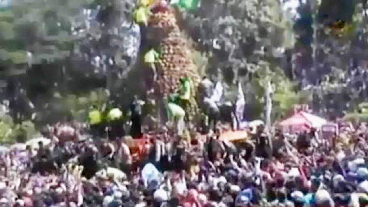 VIDEO: Panen Raya, Pemkab Jombang Bagi-bagi Ribuan Durian