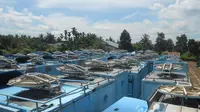 Puluhan Mobil Kominfo Mangkrak Tiba-tiba, Warga Resah 