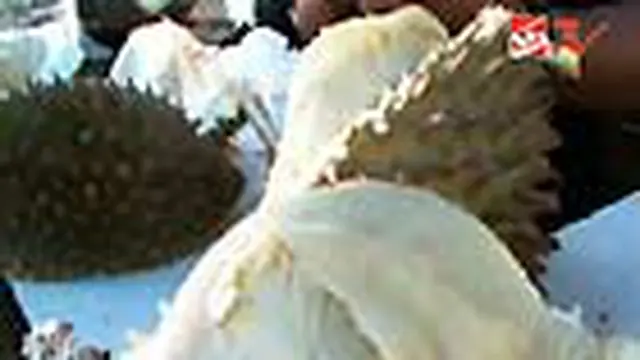 Nikmatnya Durian Lhong
