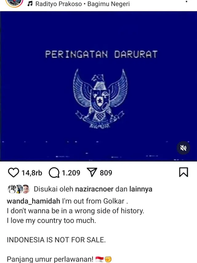 Unggahan Peringatan Darurat dari Wanda Hamidah. (Foto: Dok. Instagram @wanda_hamidah)