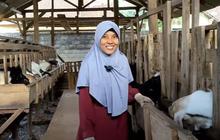 Modal Rp4 Juta, Ibu Ini Sukses Berternak Kambing Bisa Kuliahkan Anak di Poltekkes
