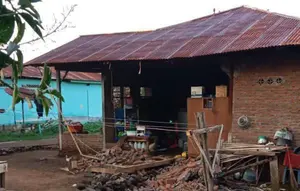 Gempa NTT: Deretan Artis Buka Donasi untuk Korban Bencana