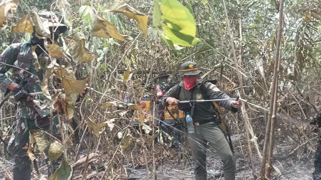 Petugas gabungan masih berupaya memadamkan api di Taman Nasional Way Kambas, Lampung Timur