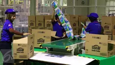 Pekerja tengah mengepak produksi popok bayi di Cikarang, Kamis (21/4).Varian popok yang dibuat merupakan pengembangan dari teknologi Jepang yang menghasilkan popok bayi yang ringan dan nyaman. (Liputan6.com/Angga Yuniar)