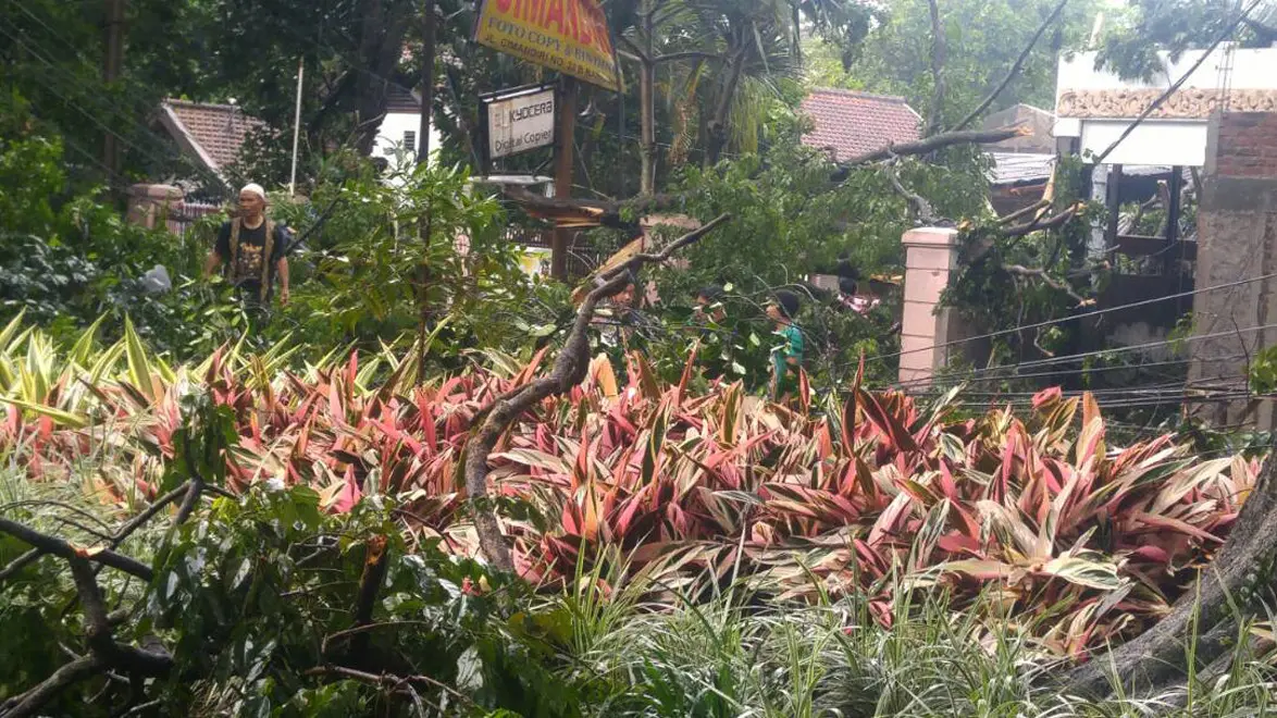 Hujan es disertai angin kencang yang menerpa Kota Bandung, menyebabkan sejumlah pohon dan baliho tumbang serta banjir di jalan raya. (Foto: Istimewa/Dery Fitriadi Ginanjar/Arie Nugraha)