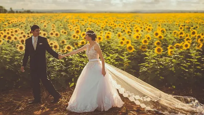 copyright: pexels.com