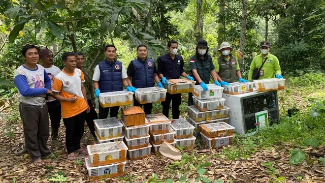 Patroli Senyap di Tahura Wan Abdul Rachman, Menjaga Burung dari Jerat Pemburu Liar