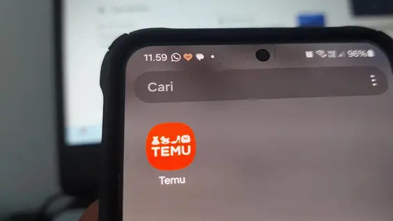 Aplikasi Temu dari China Bikin Resah Eropa, Dikhawatirkan Jual Barang Ilegal